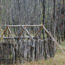 초등 감성미술 이미지