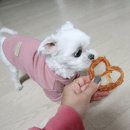 홀리츄키친 이미지