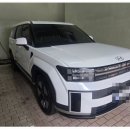 다온모터스 | 사고로 인한 산타페 백도어수리 배곧공업사 다온모터스 후기