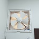 임가정의원 이미지