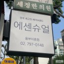 용산 이촌동 미용실 에센슈얼 동부이촌점 💇 금선 기선쌤에게 S컬펌 받은 후기
