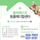 진영동물병원 이미지