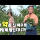 유황나라