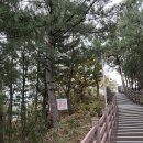 사천진보건진료소 | 강원도 1박2일 Day2. 속초-강릉 | 강릉솔향수목원, 강릉빵다방, 꾸옥 옥수수크림라떼