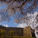 꽃의 노래 이미지