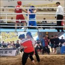 종합자전거 이미지