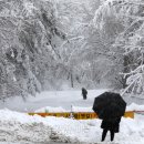 가동옛길 이미지