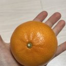 중랑아티스트 열린문화공감 | 바이러스를 밀어내자 04/07 - 04/13