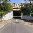 대나무숲길 이미지