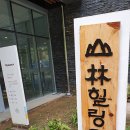 산림힐링재단 이미지