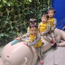 예인나라어린이집 이미지