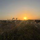 우진아트리움 | 제주 한 바퀴 (feat. 당일치기)