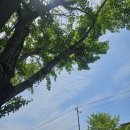 브라운도트호텔 광주하남점 | ₊˚⊹♡🍰🍓♡⊹˚₊ 너의 하트를 Pick ! Up ! ──★ ˙🍓 ̟ !!