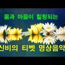 티벳 명상 음악 - 연꽃 이미지