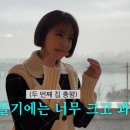 고준희 카카오 검색결과