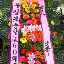 리빙플라워