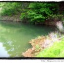 산정소류지 이미지