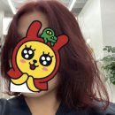 또도헤어 이미지