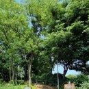 장모루공원 이미지