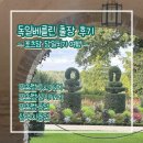 #DOG | [2025 독일/포츠담] 포츠담구시가지 | 포츠담신시가지 | 포츠담궁전 | 상수시궁전 | 포츠담당일치기여행