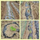 펜션재온 이미지