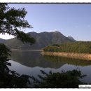 다민농장 이미지