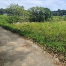 태안부동산중개사무소 이미지