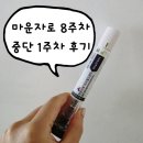 1 | 마운자로 8주차 / 중단 1주차 후기