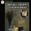 블루밍 | 세종 돌잔치케이크: 돌상에 올린 블루밍케이크 후기⁠