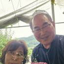 고요부부농장 이미지