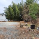 대저중앙로 이미지