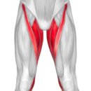 해운동055 이미지