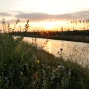 하루의풍경 이미지