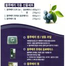 법인골드팜