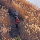 오서목장 이미지