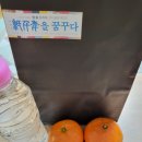 지천년 한지 공예 이미지