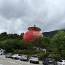 정원공부방 | 고산 윤선도가 매료된 전남 보길도 여행 후기｜힐링이 필요할 때 찾는 섬