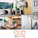 헬로스마일 - 화성시 동탄역로 128 | 헬로스마일