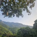 카우보이 | 제천청풍맛집 뷰좋은 바베큐전문 카우보이그릴 후기