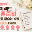 한빛결혼정보 | 다이렉트 결혼 준비 포인트 모으는 방법 | 드 메 0원 현실 후기