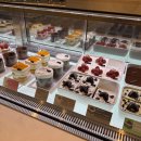 투썸플레이스 강남KI타워점 | 투썸플레이스 강남KI타워점에서 오트화이트라떼 먹음