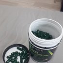 더초록 이미지