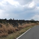 신산환해장성 이미지