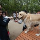 동물놀이터 화장실 이미지