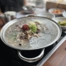 세종표고