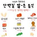 단백질 식단 중요성 알아보자 이미지