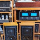 화이트벨리 이미지