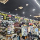 도마뱀피싱