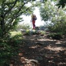 나로도주유소 이미지