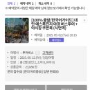 돈의비밀 - 03. 당신이 돈에 무지한 이유 | [대만여행:2일차] 착한투어 버스투어 후기_예스폭진지 (예류공원, 스펀, 스펀폭포, 진과스, 지우펀)